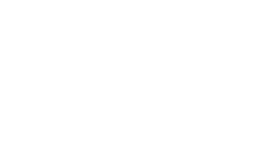 Logotipo del distribuidor automotriz Daytona optimizado para el diseño web.