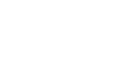 Logotipo de las concesionarias Z-Motors en color blanco.